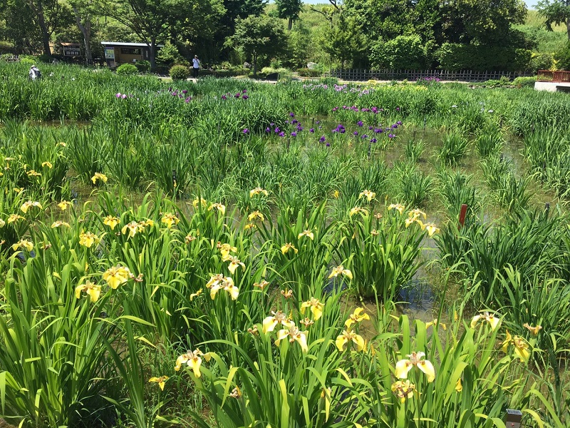 2019年6月 外出レクのご様子